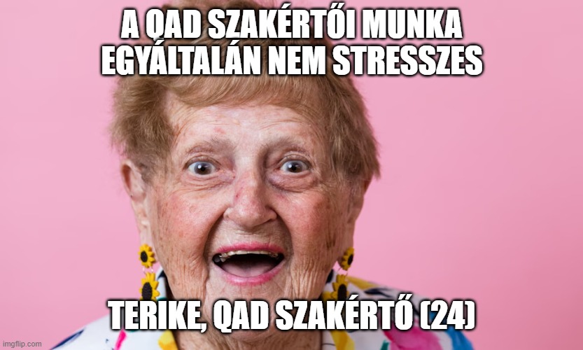 The life of a QAD szakértő