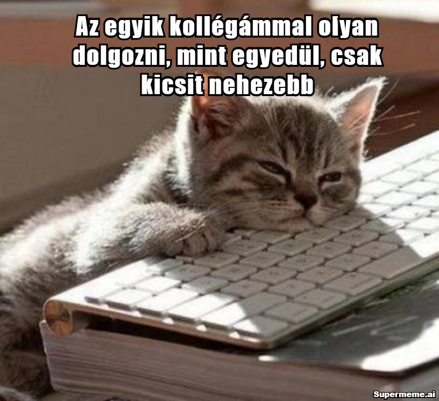 Közös munka gyümölcse