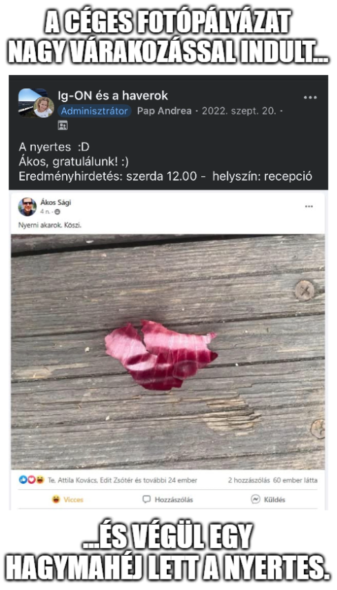 „Low effort. High reward.”